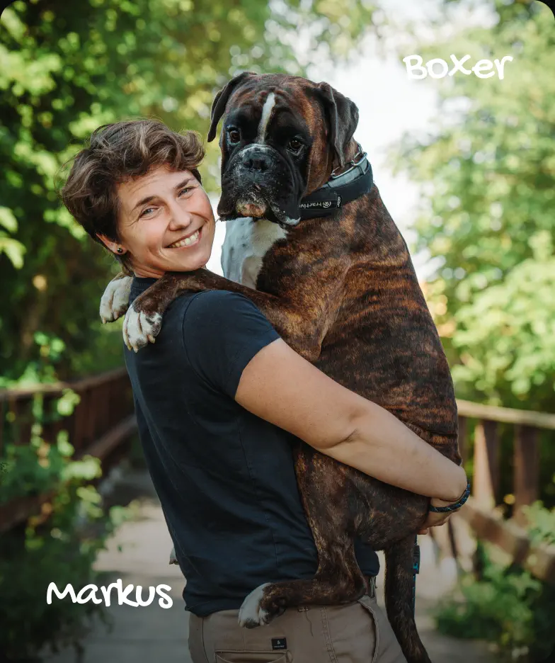 Markus - Boxer